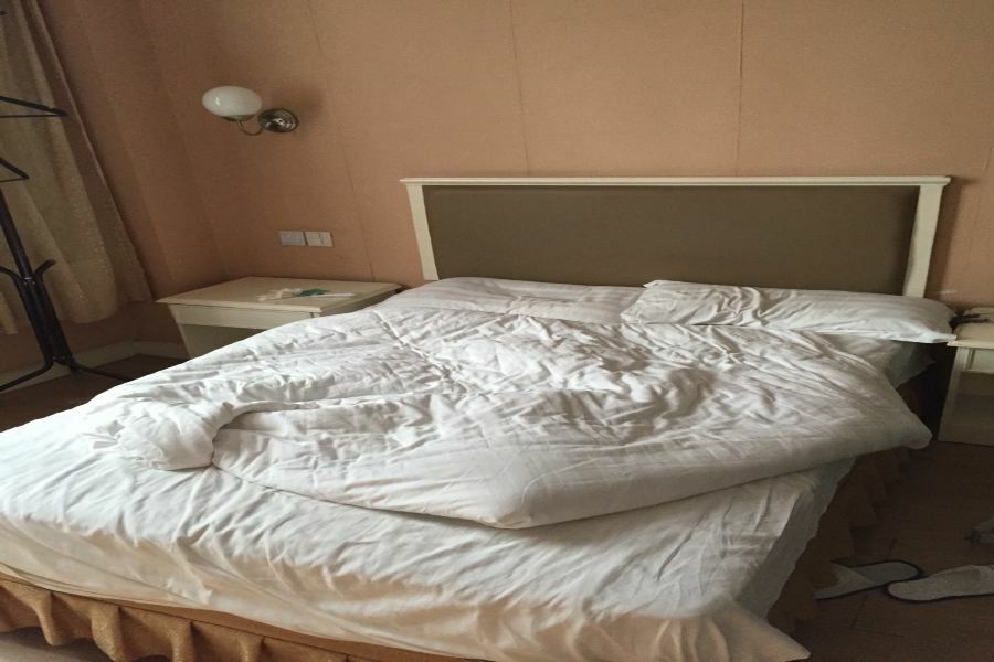 Shanghai Xinlong River Hotel Luaran gambar